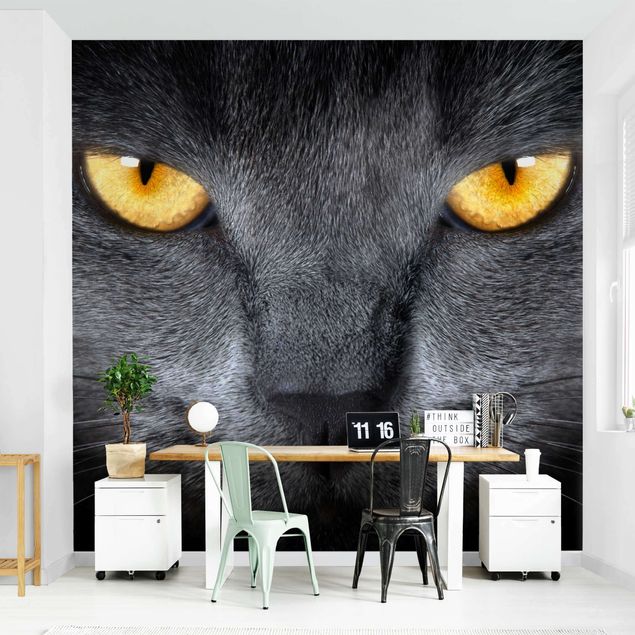 Wallpaper - Cat's Gaze