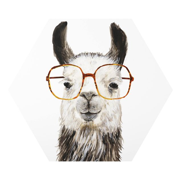 Forex hexagon - Hip Lama With Glasses IV
