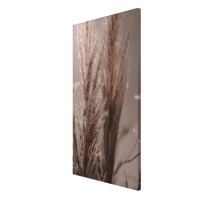 Magnetic memo board - Pampas Grass In Late Fall