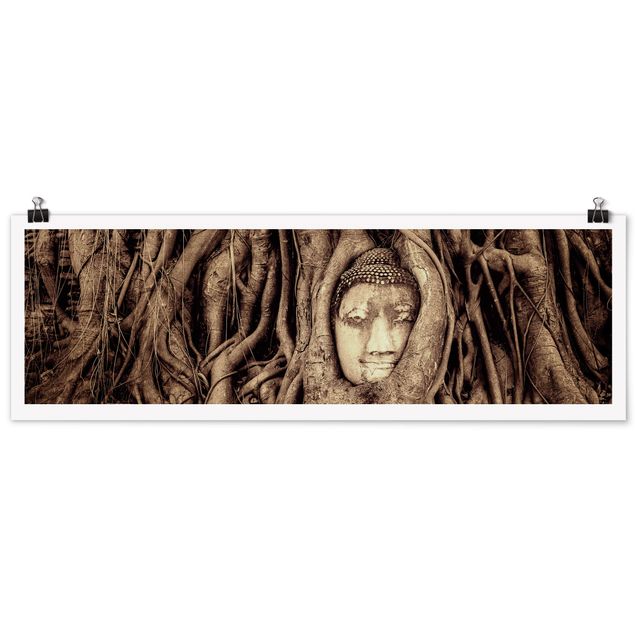 Panoramic poster spiritual - Buddha In Ayutthaya Lined From Tree Roots In Brown