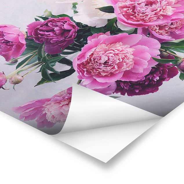Poster - Peonies Shabby Pink White