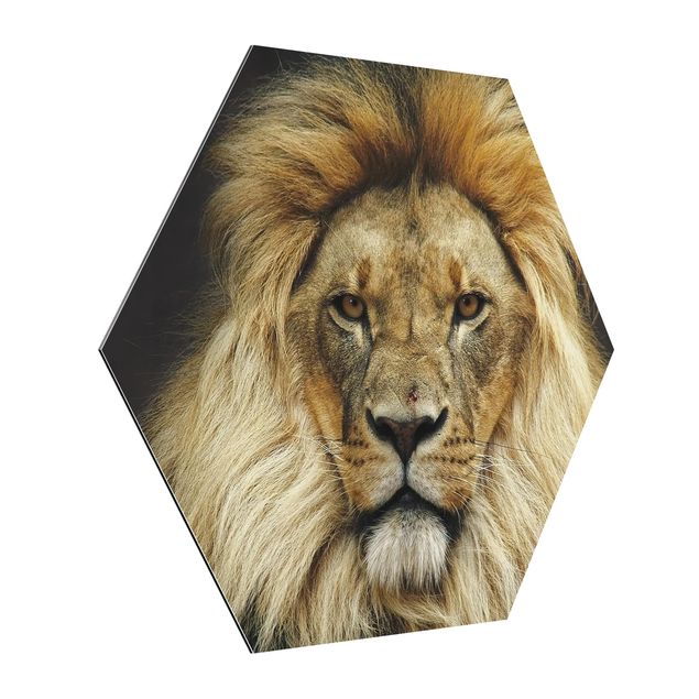 Alu-Dibond hexagon - Wisdom Of Lion