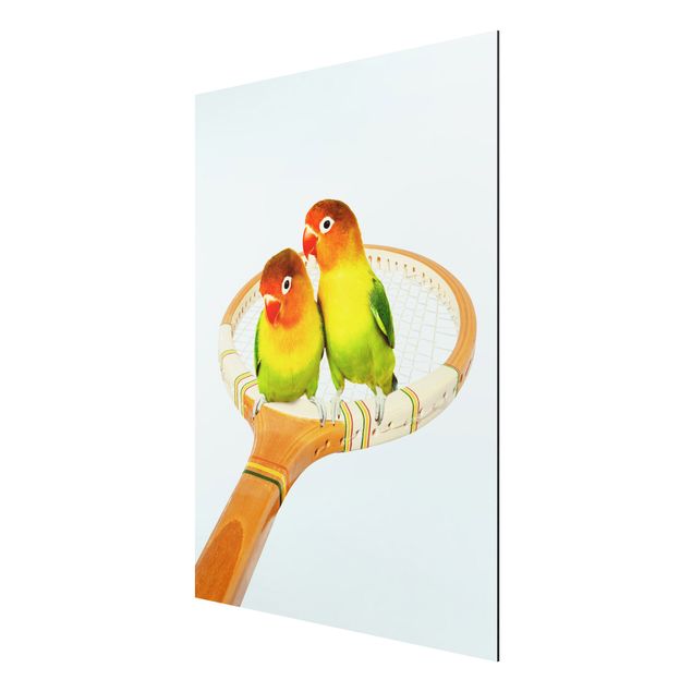 Print on aluminium - Tennis With Birds