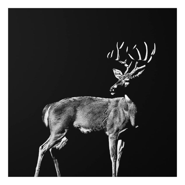 Glass Splashback - Deer In The Dark - Square 1:1