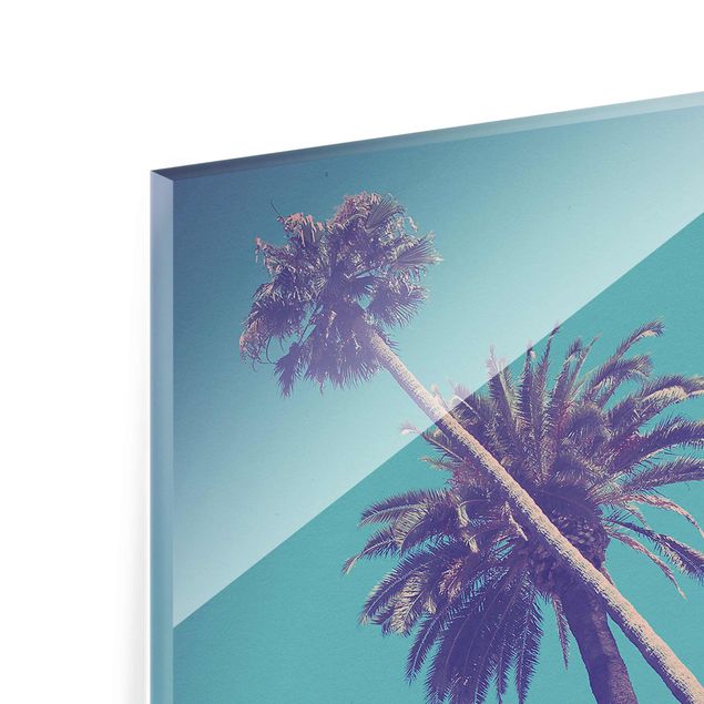 Glass print - Tropical Plants Palm Trees And Sky
