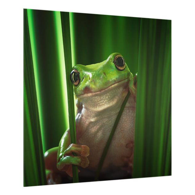 Glass Splashback - Happy Frog - Square 1:1