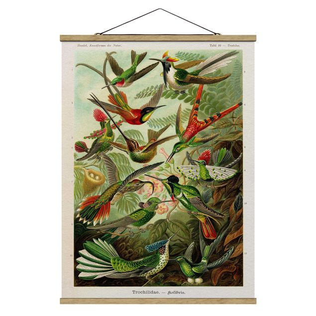 Fabric print with poster hangers - Vintage Board Hummingbirds