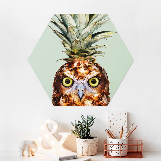 Forex hexagon - Pineapple With Owl