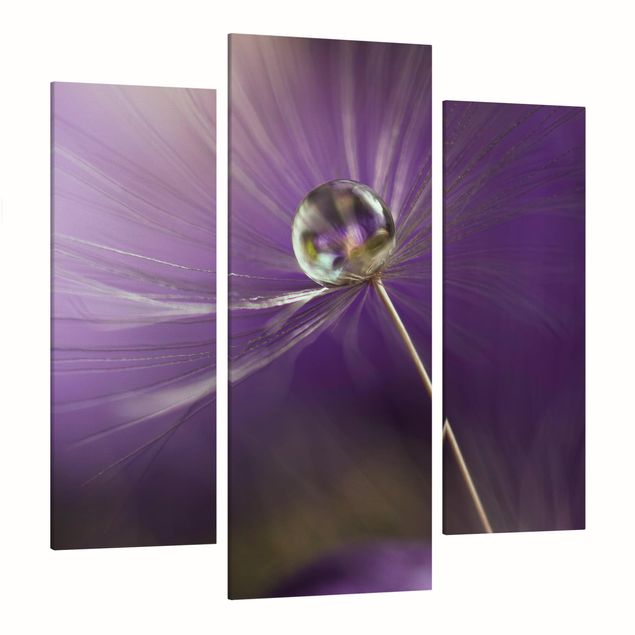 Print on canvas 3 parts - Dandelion In Violet