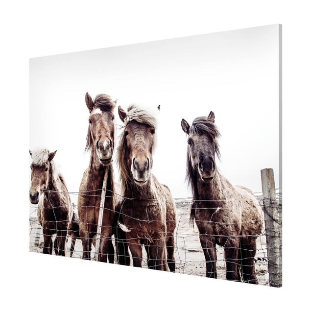 Magnetic memo board - Icelandic Horse