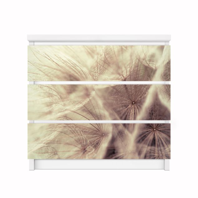 Adhesive film for furniture IKEA - Malm chest of 3x drawers - Detailed Dandelion Macro Shot With Vintage Blur Effect