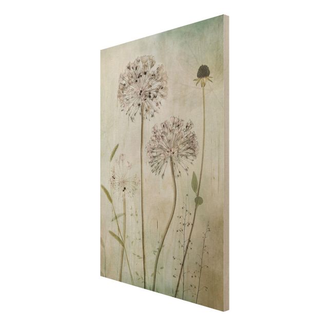 Wood print - Allium flowers in pastel