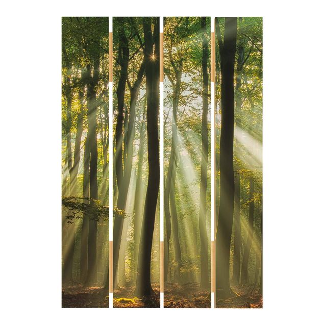 Print on wood - Sunny Day In The Forest