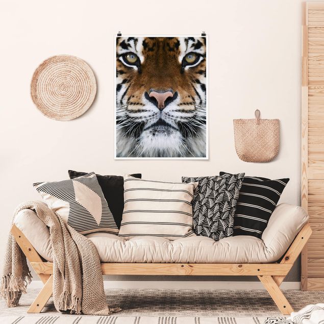 Poster animals - Tiger Eyes