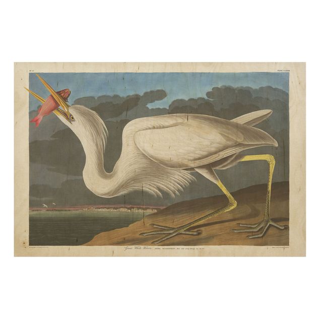 Print on wood - Vintage Board Great White Egret