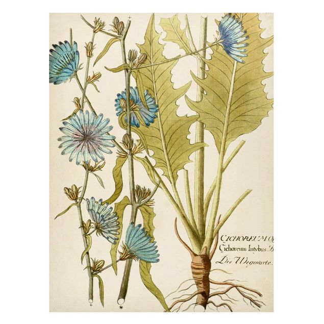 Magnetic memo board - Vintage Botany In Blue Chicory