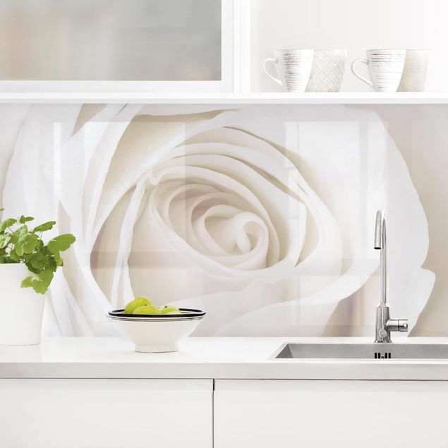Kitchen splashback flower Pretty White Rose