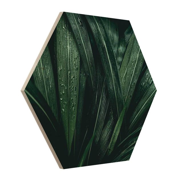 Wooden hexagon - Green Palm Leaves