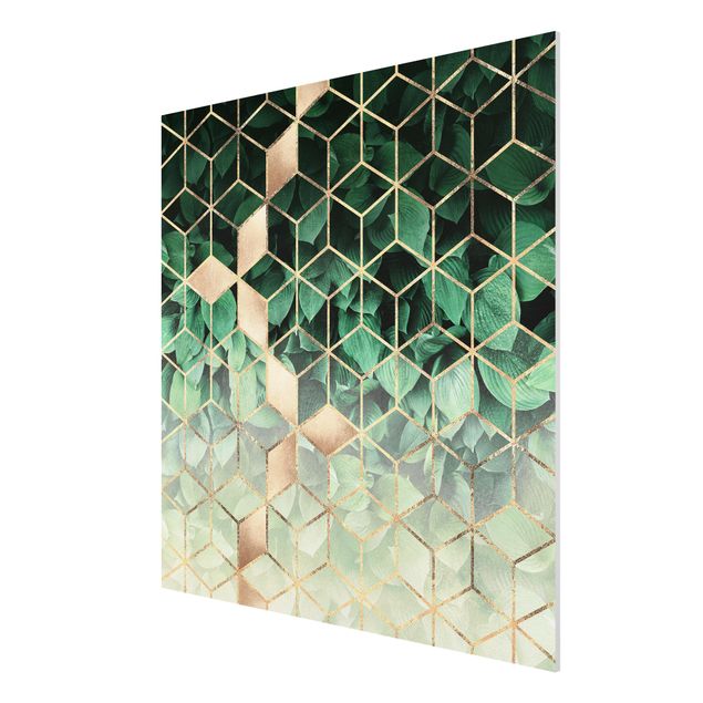 Print on forex - Green Leaves Golden Geometry