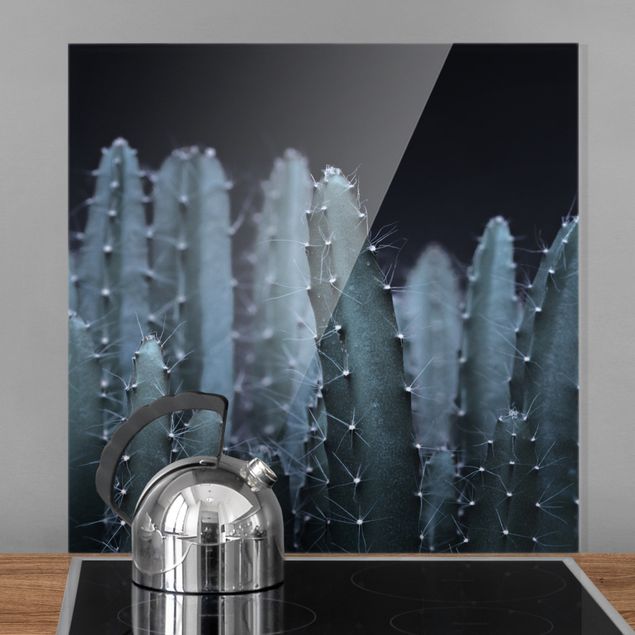 Glass splashback kitchen flower Desert Cactus At Night