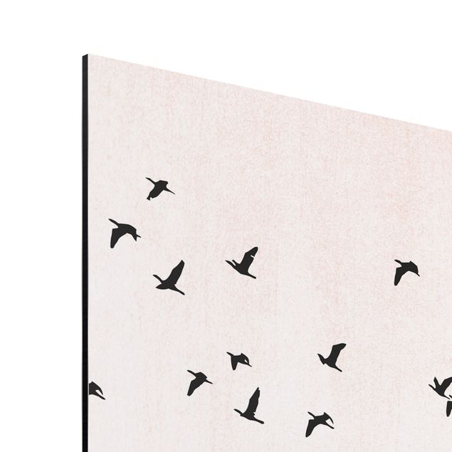 Alu-Dibond print - Flock Of Birds In The Sunset