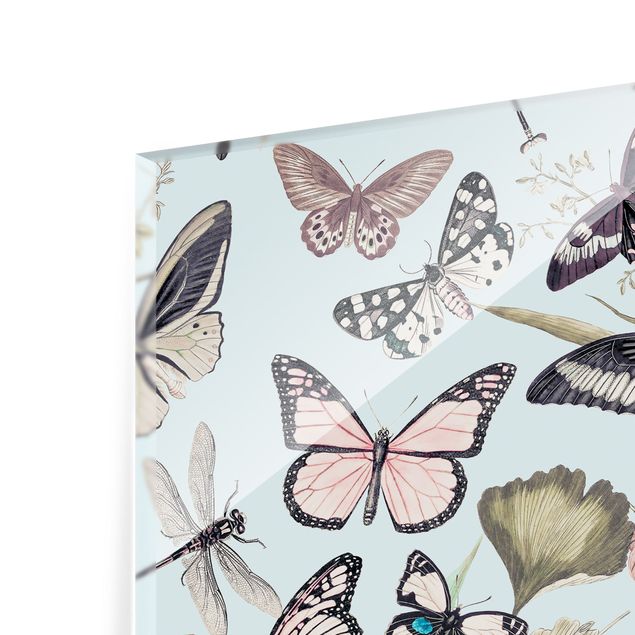 Splashback - Vintage Collage - Butterflies And Dragonflies