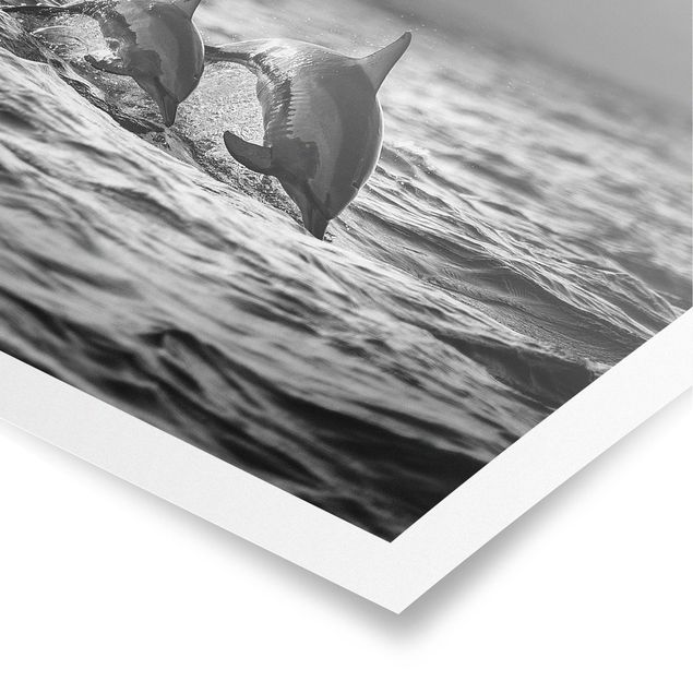 Poster - Two Jumping Dolphins