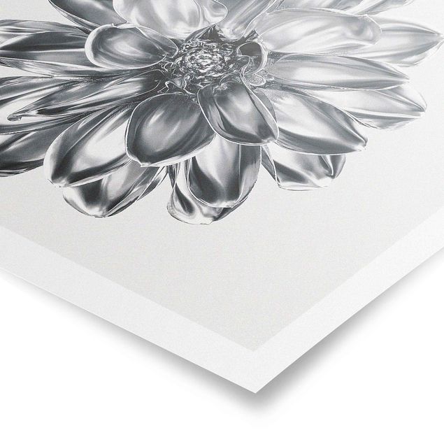 Poster - Dahlia Flower Silver Metallic
