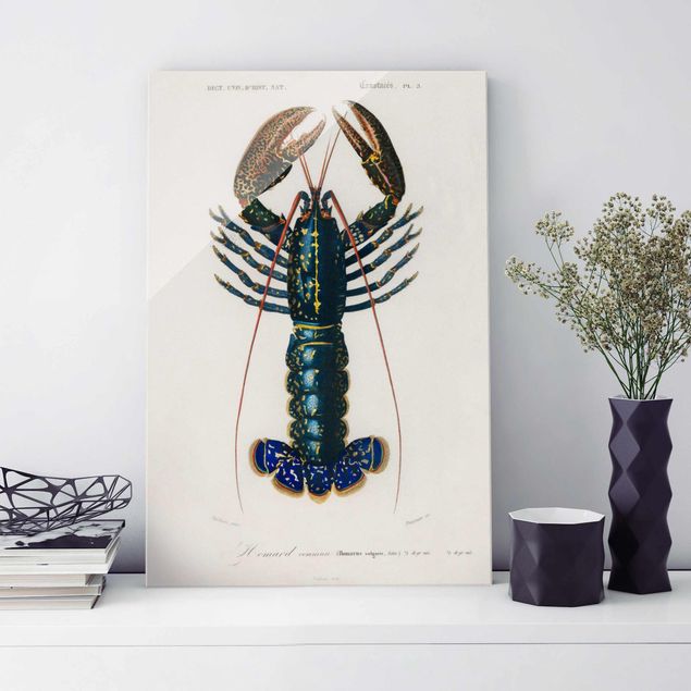 Magnettafel Glas Vintage Board Blue Lobster