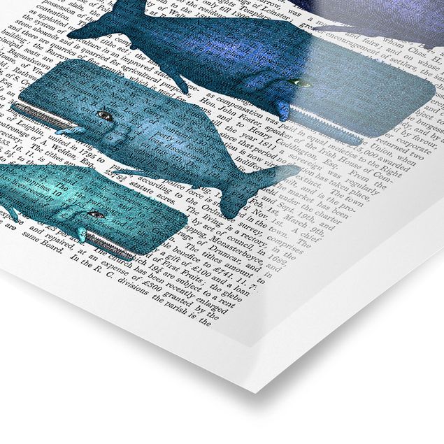 Poster - Animal Reading - Whale Family