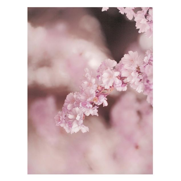 Magnetic memo board - Cherry Blossoms In Purple Light