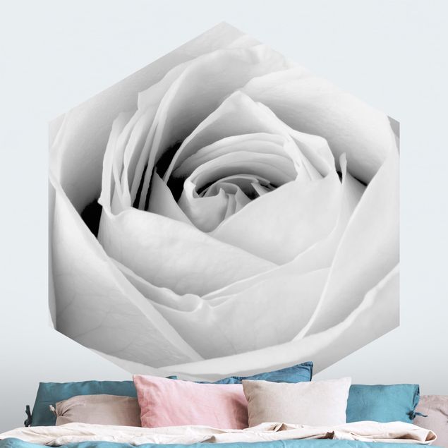 Hexagonal wallpapers Close Up Rose