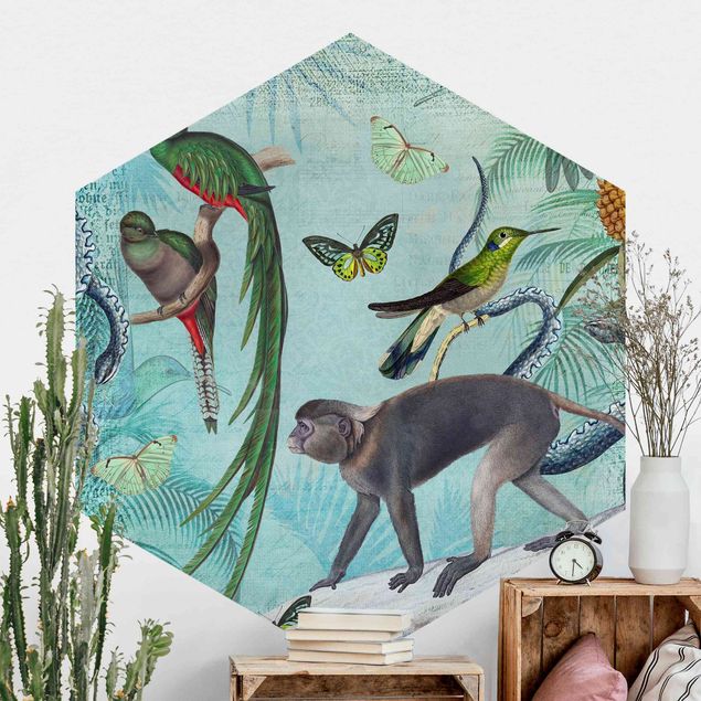 Hexagonal wallpapers Colonial Style Collage - Monkeys And Birds Of Paradise