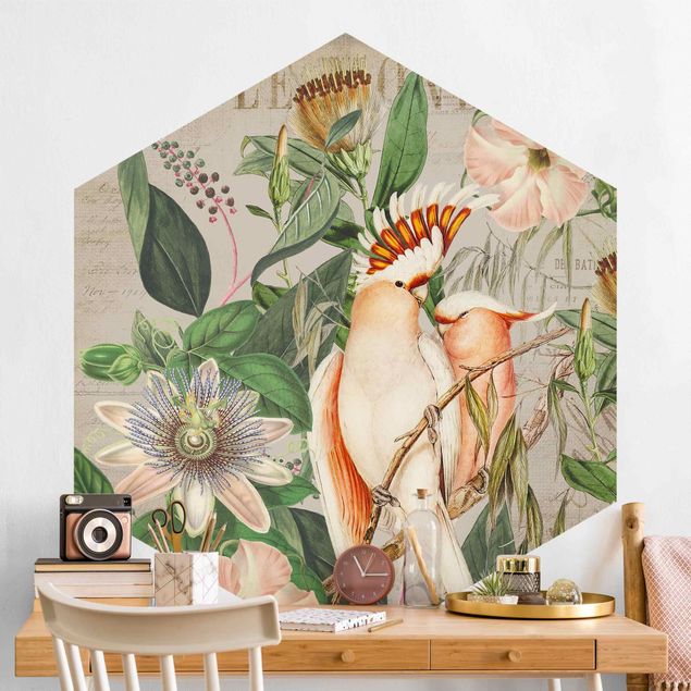 Hexagonal wall mural Colonial Style Collage - Galah