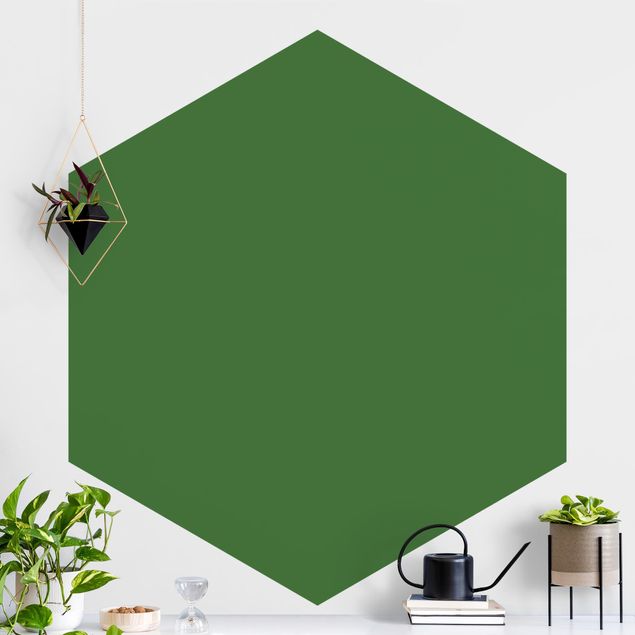 Hexagonal wall mural Colour Dark Green