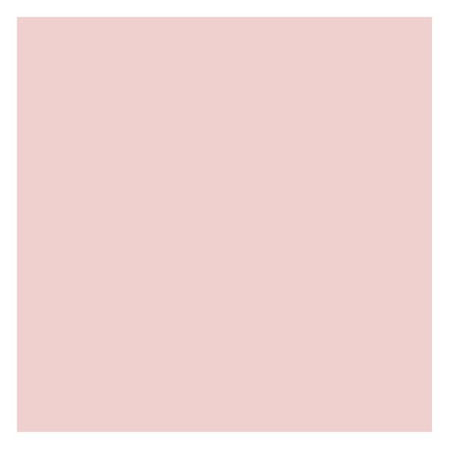 Wallpaper - Colour Rose