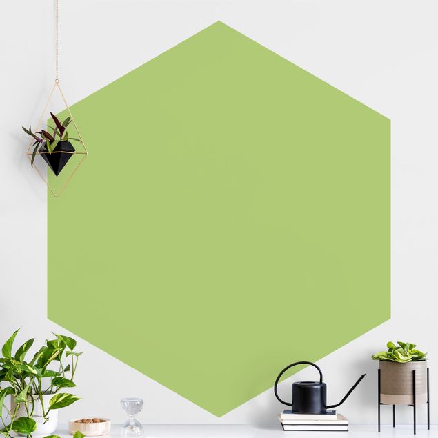 Hexagonal wallpapers Colour Spring Green