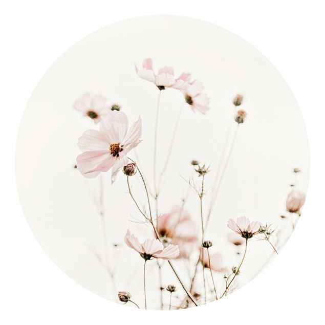 Self-adhesive round wallpaper - Garden Cosmos In Soft Cream Tones