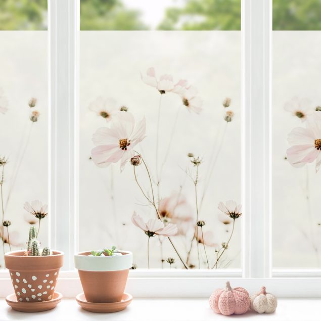 Window decoration - Garden Cosmos In Soft Cream Tones