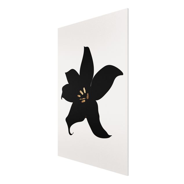 Print on forex - Graphical Plant World - Orchid Black And Gold