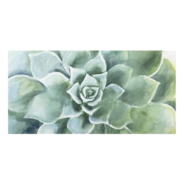 Splashback - Succulent Plant Watercolour Dark
