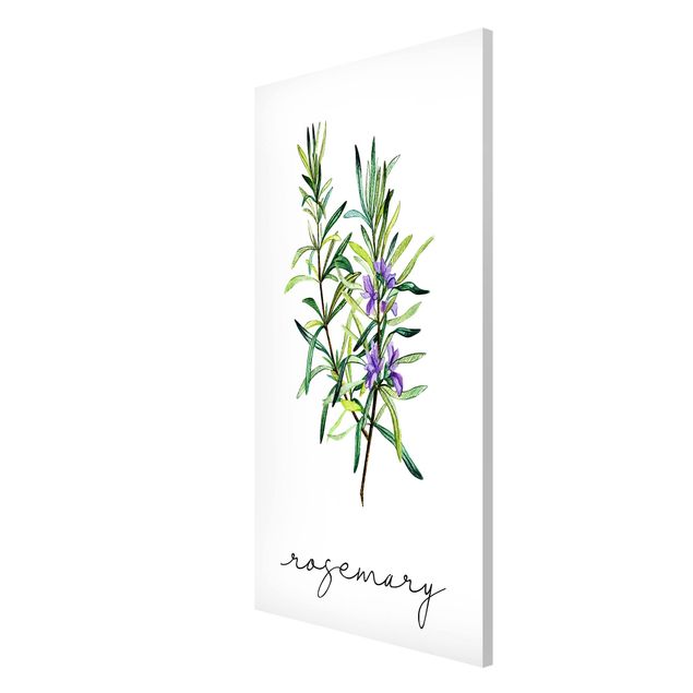 Magnetic memo board - Herbs Illustration Rosemary