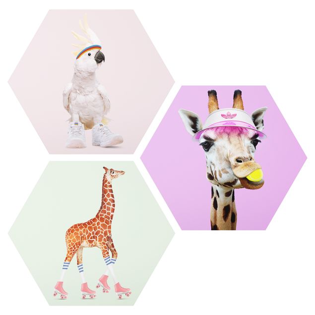 Alu-Dibond hexagon - Giraffes And Kakadu Sport Set I