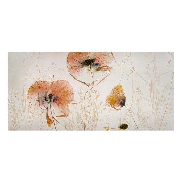 Magnetic memo board - Dried Poppy Flowers With Delicate Grasses