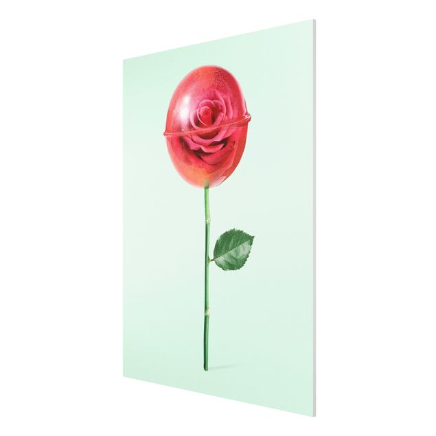 Print on forex - Rose With Lollipop