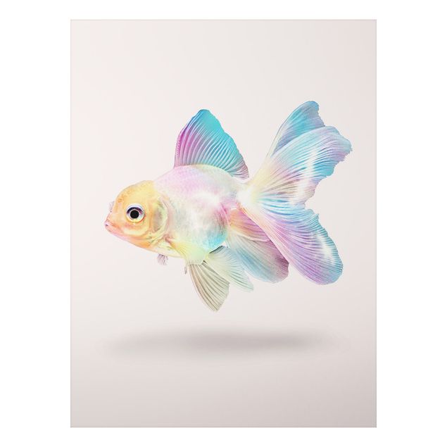 Print on aluminium - Fish In Pastel