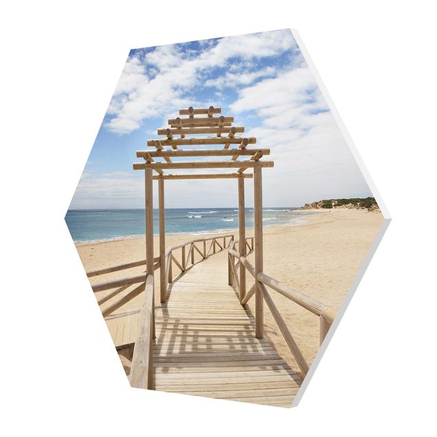 Forex hexagon - Beach Path To The Sea In Andalusia