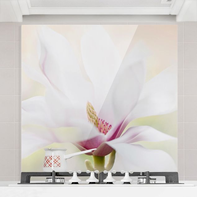 Glass splashback kitchen flower Delicate Magnolia Blossom