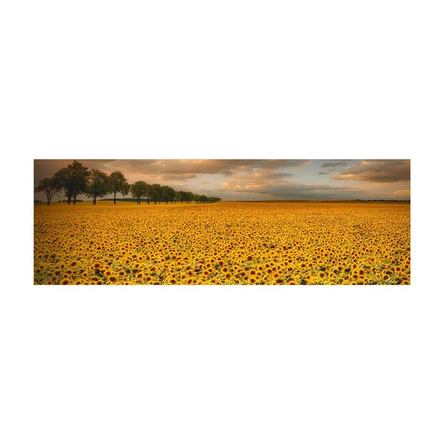 Nature rugs Field With Sunflowers