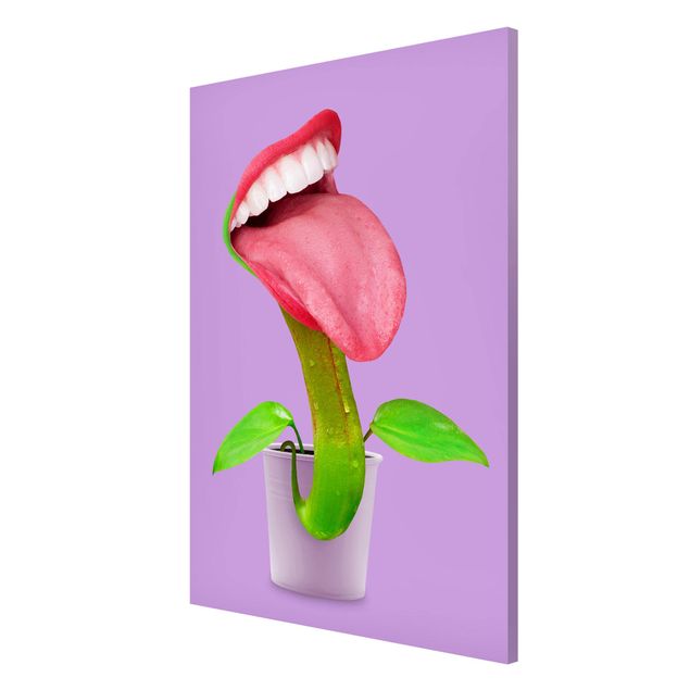 Magnetic memo board - Carnivorous Plant With Mouth